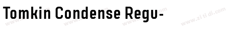 Tomkin Condense Regu字体转换 Tomkin Condense Regu字体转换